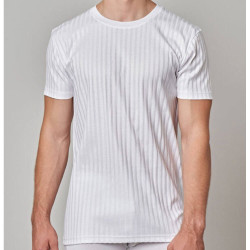 GICIPI 3 MAGLIA UOMO FILO DI SCOZIA MEZZA MANICA GIROCOLLO 281