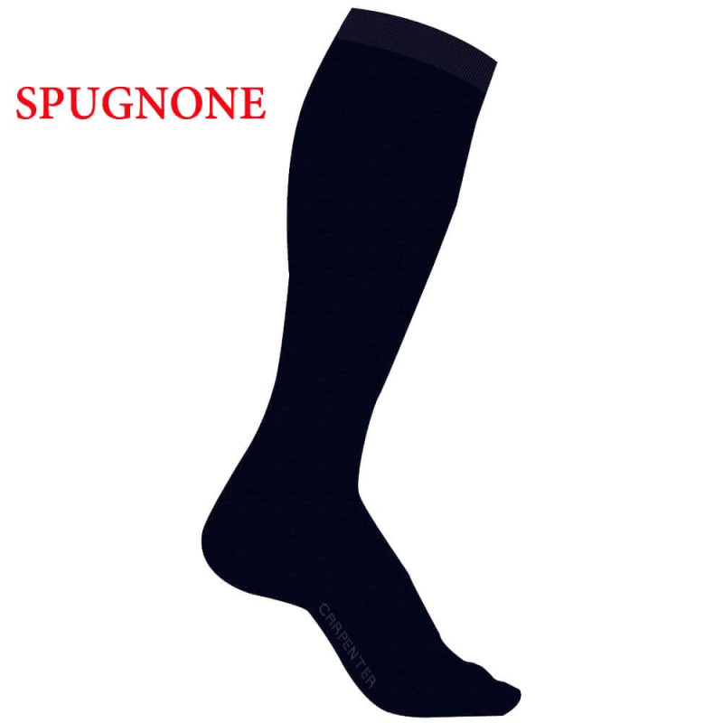 CARPENTER 12 PAIA CALZA UOMO CALDOCOTONE LUNGA 0695