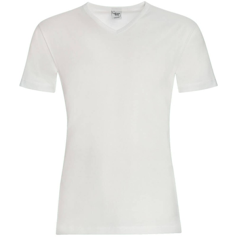 CIELLEGI 3 T-SHIRT UOMO TAGLIE FORTI FILO DI SCOZIA SCOLLO A V 701