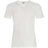 CIELLEGI 3 T-SHIRT UOMO TAGLIE FORTI FILO DI SCOZIA SCOLLO A V 701