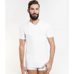 NOTTINGHAM 3 T-SHIRT UOMO COTONE ELASTICIZZATO FOX