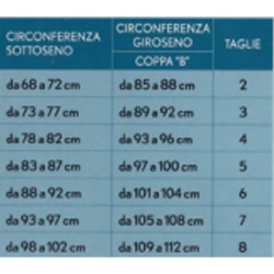 AMICA REGGISENO DONNA ANITA