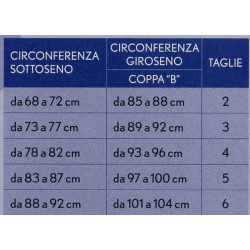 AMICA REGGISENO DONNA NUVOLA