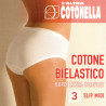 COTONELLA 3 SLIP DONNA COTONE BIELASTICO 3363