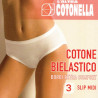 COTONELLA 3 SLIP DONNA COTONE BIELASTICO 3363