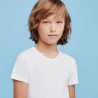 ELLEPI 6 T-SHIRT RAGAZZO COTONE MANICA CORTA 701
